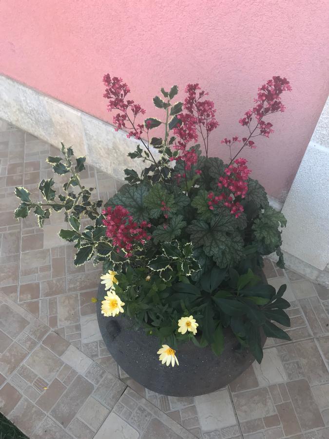 רוביני Apartments Palm View מראה חיצוני תמונה